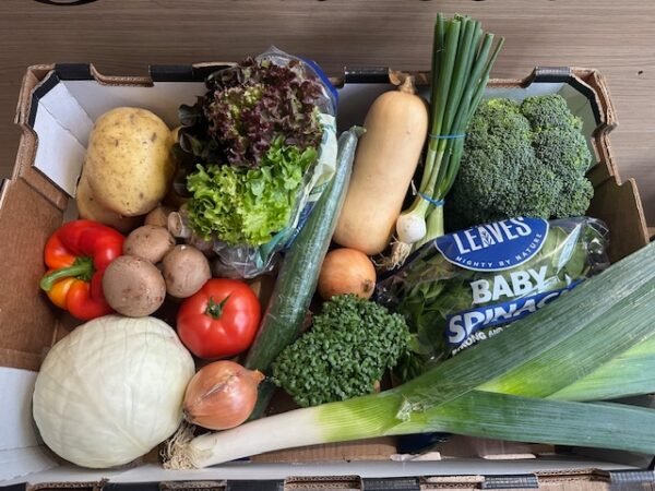 Veg Box Medium